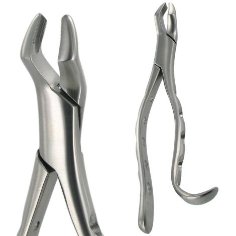 10H UPPER MOLAR