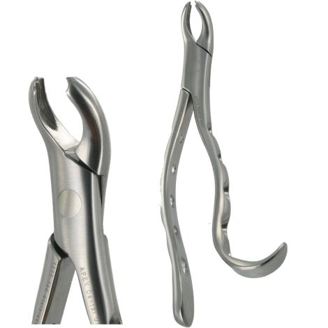 15  LOWER MOLAR