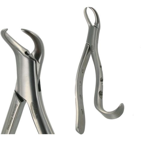 16S  LOWER MOLAR