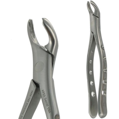 17  LOWER MOLAR