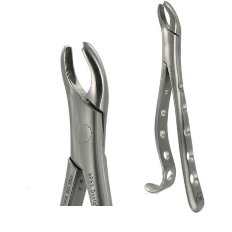 18L UPPER MOLAR L
