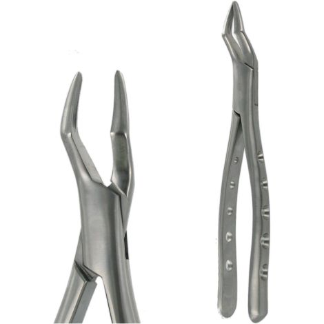 65 UPPER ROOT