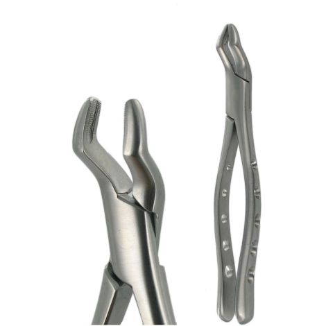 10S UPPER MOLAR