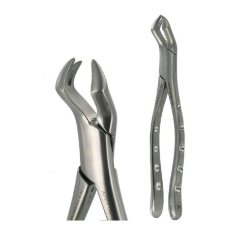 88R UPPER MOLAR