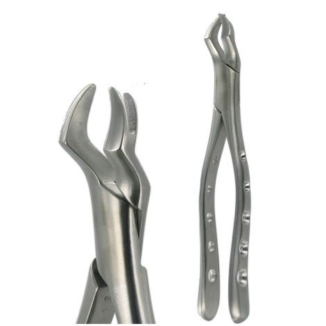 88L UPPER MOLAR