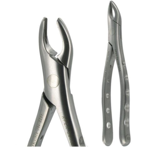 101 UNIVERSAL PREMOLAR