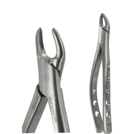 150 UPPER PREMOLAR