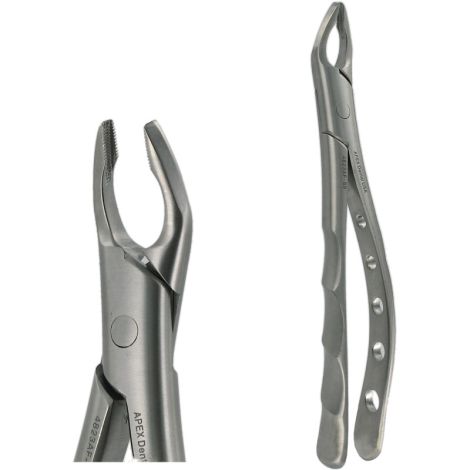 150AF UPPER PREMOLAR