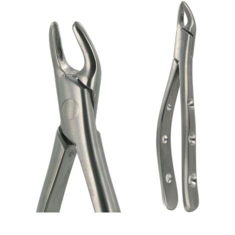 150S UPPER PREMOLAR