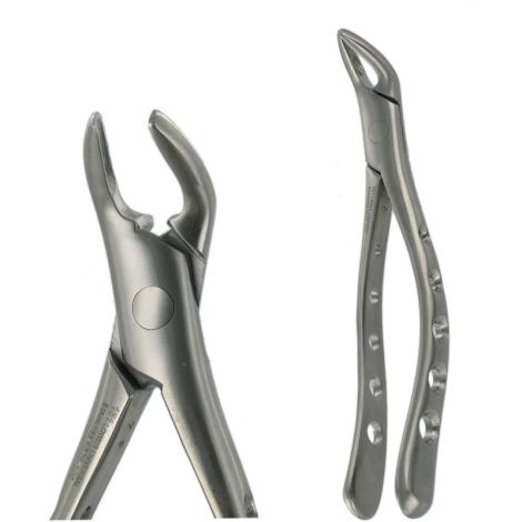 151 LOWER PREMOLAR