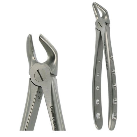 8 LOWER PREMOLAR
