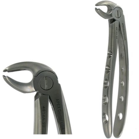 22 LOWER MOLAR