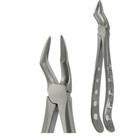 51A UPPER ROOT