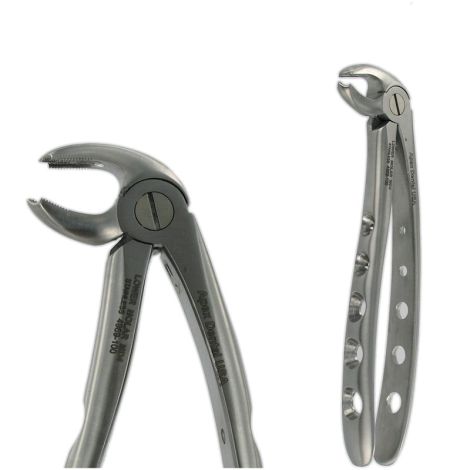 MD4 LOWER MOLAR