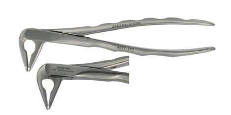 F4 LOWER ANTERIOR