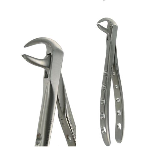 F10 LOWER MOLAR