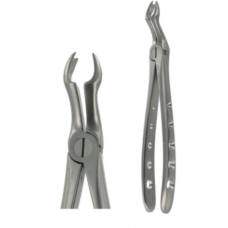 F12 UPPER MOLAR R