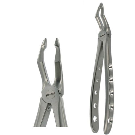 F16 UPPER ROOT