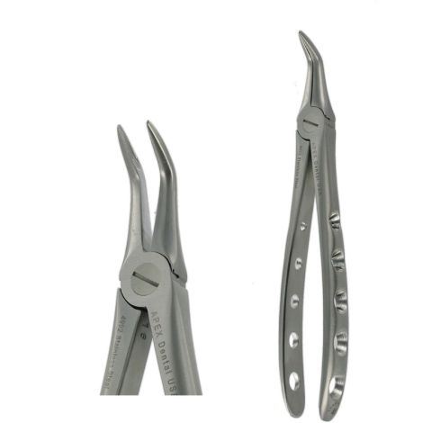 F-19 LOWER ROOT