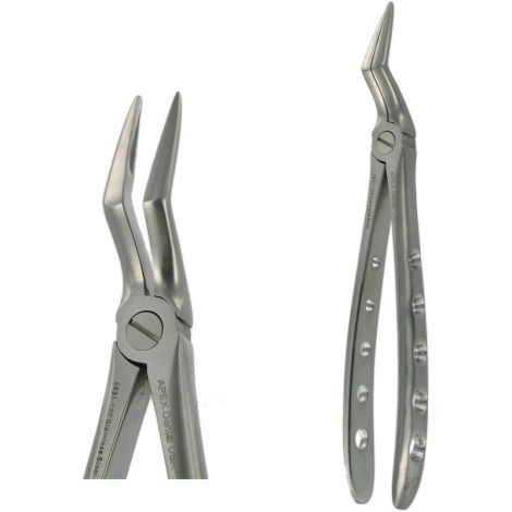 51 XL Upper Root