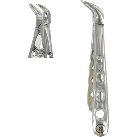 B23, LOWER MOLAR