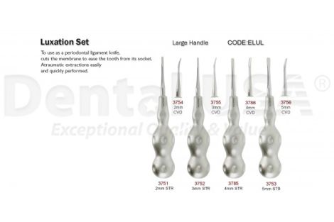 9019 / ELUL